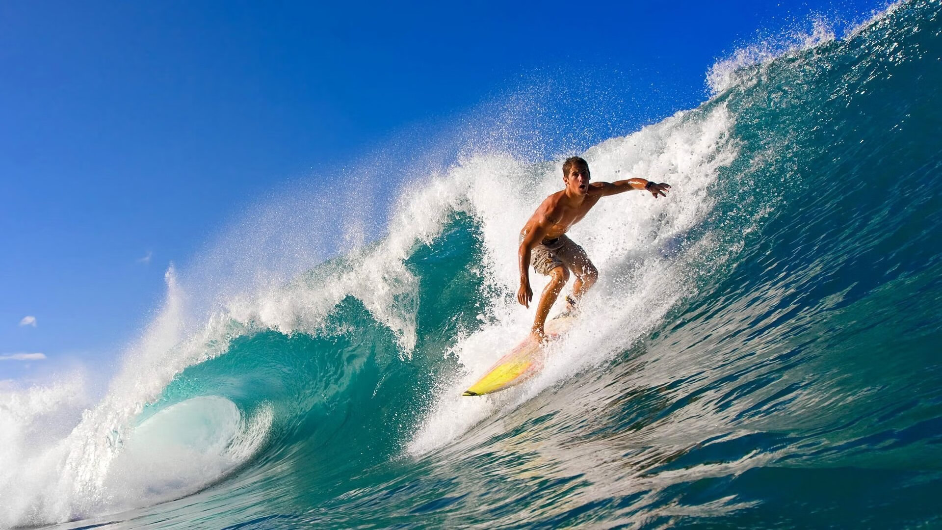 体育新闻中心权威解读专题上线,体育新闻网址大全